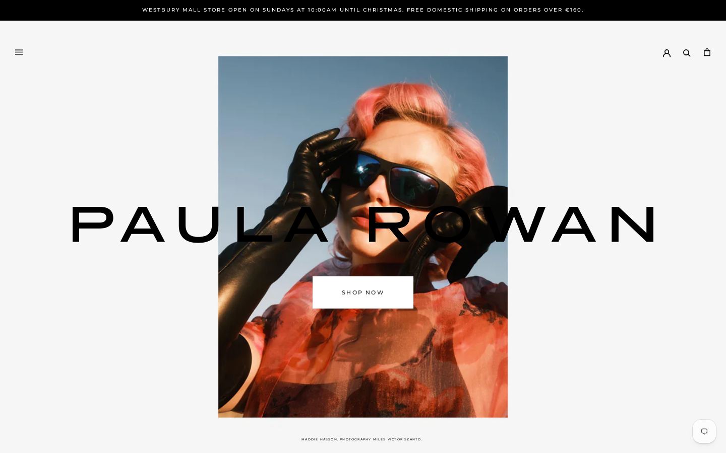 Paula Rowan website screenshot